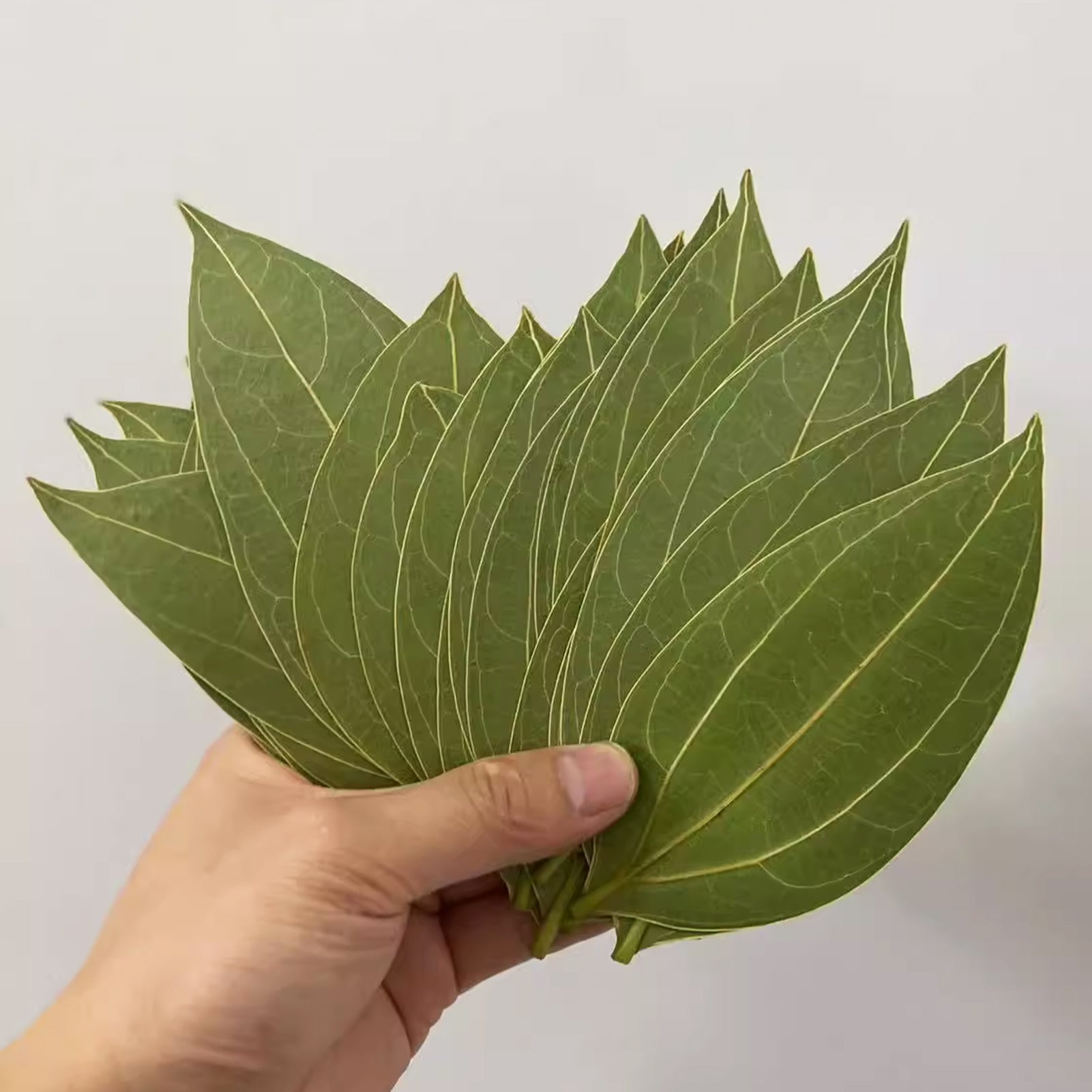 Blank Leaf Engraving Kit (10pcs)